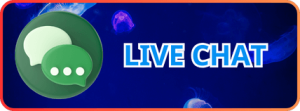 liên hệ live chat